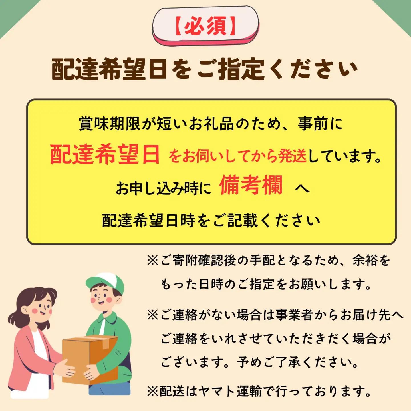 寿司 10枚入 【笹寿司】Al-001