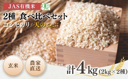 【先行予約】【米 食べ比べセット】コシヒカリ 天のつぶ 玄米 4kg (2kg×2種) JAS有機米 令和8年産 | 有機米 米 コメ 福島県産 根本有機農園 オーガニック米 福島県産コシヒカリ 福島コシヒカリ 福島県産こしひかり 福島天のつぶ