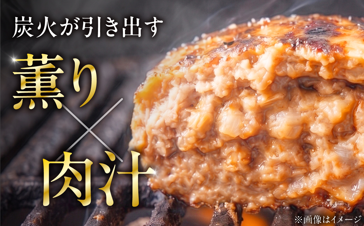 ハンバーグ デミグラスハンバーグ 10個 / 冷凍 惣菜 おかず 晩御飯 洋食 簡単調理 簡単 時短 肉 個包装 / 愛媛県砥部町/株式会社sopiro [BJCQ001]