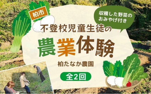 不登校児童生徒の農業体験（2回） 〈 学び 食育 収穫体験 農業体験 体験 収穫 野菜 子供 親子 農作物 ふるさと納税 柏 〉 [№5412-0237]