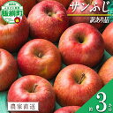 【ふるさと納税】 りんご サンふじ 訳あり 3kg noon farm 沖縄県への配送不可 令和6年度収穫分 長野県 飯綱町 〔 傷 不揃い リンゴ 林檎 果物 フルーツ 信州 長野 10000円 予約 農家直送 〕発送時期：2025年1月上旬〜1月中旬 {*}