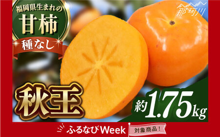 【2025年11月以降発送】柿 秋王 約1.75kg GBX050 果物 フルーツ 柿 人気 柿 おすすめ