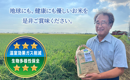 【令和7年産】米 コシヒカリ 稲穂の香 5kg 精米 白米 お米 こめ コメ 最高級米 ご飯 ごはん こしひかり 兵庫県産 兵庫 兵庫県 稲美町 