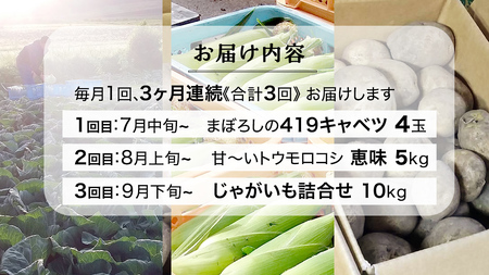 【 2025年 7月 発送開始 】 《3か月定期便》旬の野菜3種 419キャベツ 恵味トウモロコシ じゃがいも きゃべつ 嬬恋村産キャベツ 羽生田売店 幻のキャベツ419 産地直送 期間限定 先行予約
