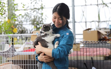 【猫用 キャットフード】猫用かつお節40袋(花けずり20袋・糸けずり20袋)鹿児島県指宿市産鰹節使用(はちわれ農園/010-352)  猫 にも優しい 減塩 かつお節♪ 大切な ペット に 安心の か