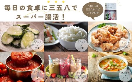 【先行予約】 夏の宝石野菜と三五八(さごはち)セット ※限定50セット 人気 おすすめ 野菜 夏野菜 やさい 三五八 さごはち 発酵 発酵食品 健康 腸活 農家直送 新鮮 ギフト 贈答 中トマト ミニ