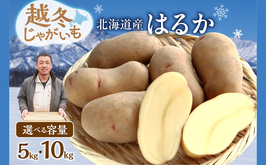 
            先行受付！【選べる内容量！】ホクホク あま～い！ 低温貯蔵！北海道産 越冬じゃがいも はるか 約5kg じゃがいも いも 芋 はるか 産地直送 越冬_S041
          