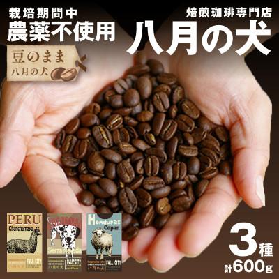ふるさと納税 京丹後市 【栽培期間中農薬不使用】自家焙煎コーヒー豆 お試しセット(200gx3種)&lt;豆のまま&gt; 小分け
