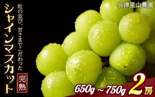 
                  47-B【予約開始】 完熟シャインマスカット 650 ~ 750g 2房 （会津里山農園）| 福島 ぶどう 皮ごと 種なし シャインマスカット 先行予約 ※2026年10月～発送
                