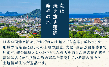 【蒲鉾、竹輪、天ぷら】村田ギフト C-3 化粧箱入り