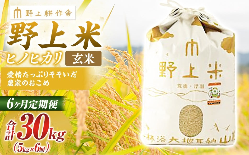 【6か月定期便】 玄米 野上米 5kg×6回 計30kg 【2025年10月下旬より発送予定】 ヒノヒカリ 米 こめ コメ お米 常温 国産