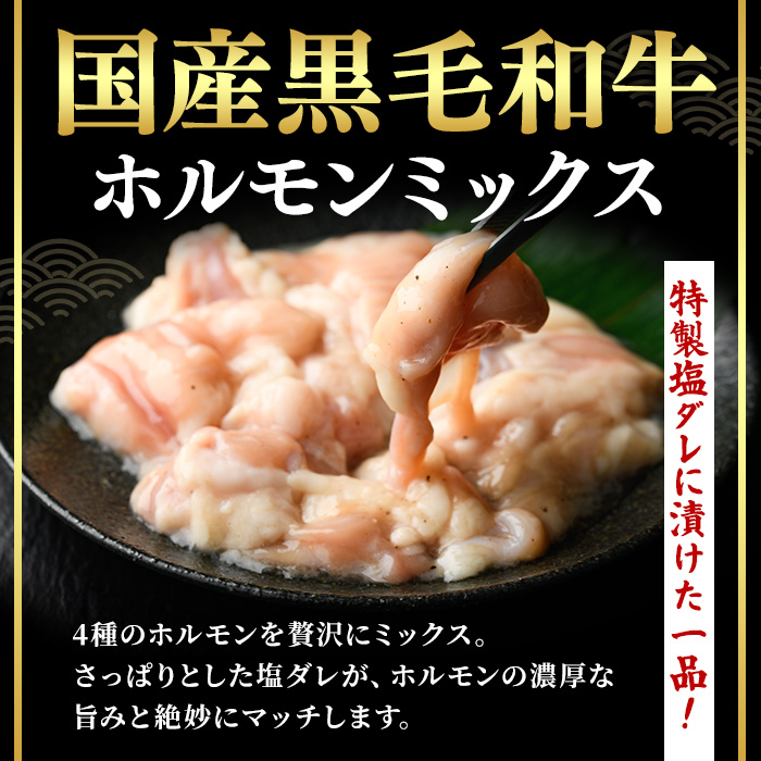 ＜14営業日以内発送！＞国産黒毛和牛ホルモンミックス 塩ダレ (計750g・150g×5) 【肉のちょーさん】A1058