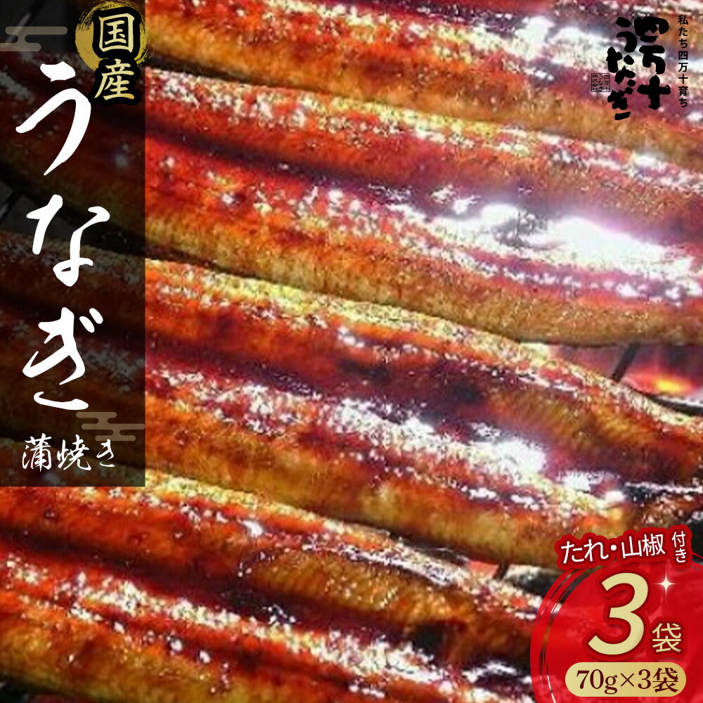 四万十うなぎ蒲焼きカット3袋セット 冷凍 たれ付き 蒲焼 国産 鰻 ウナギ うなぎ 蒲焼き 肉厚 土用の丑の日 本格うなぎ 山椒付き Esu-18