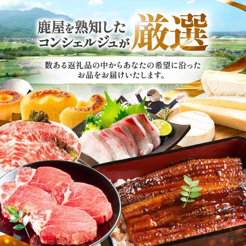 コンシェルジュプラン 寄付額200万円コース KN000-CP200 選べる
