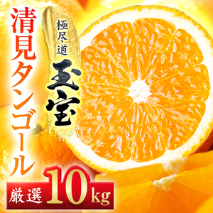 【先行受付】【愛媛名産】玉宝清見タンゴール　10kg【F64-36】【1510855】 YWTY025
