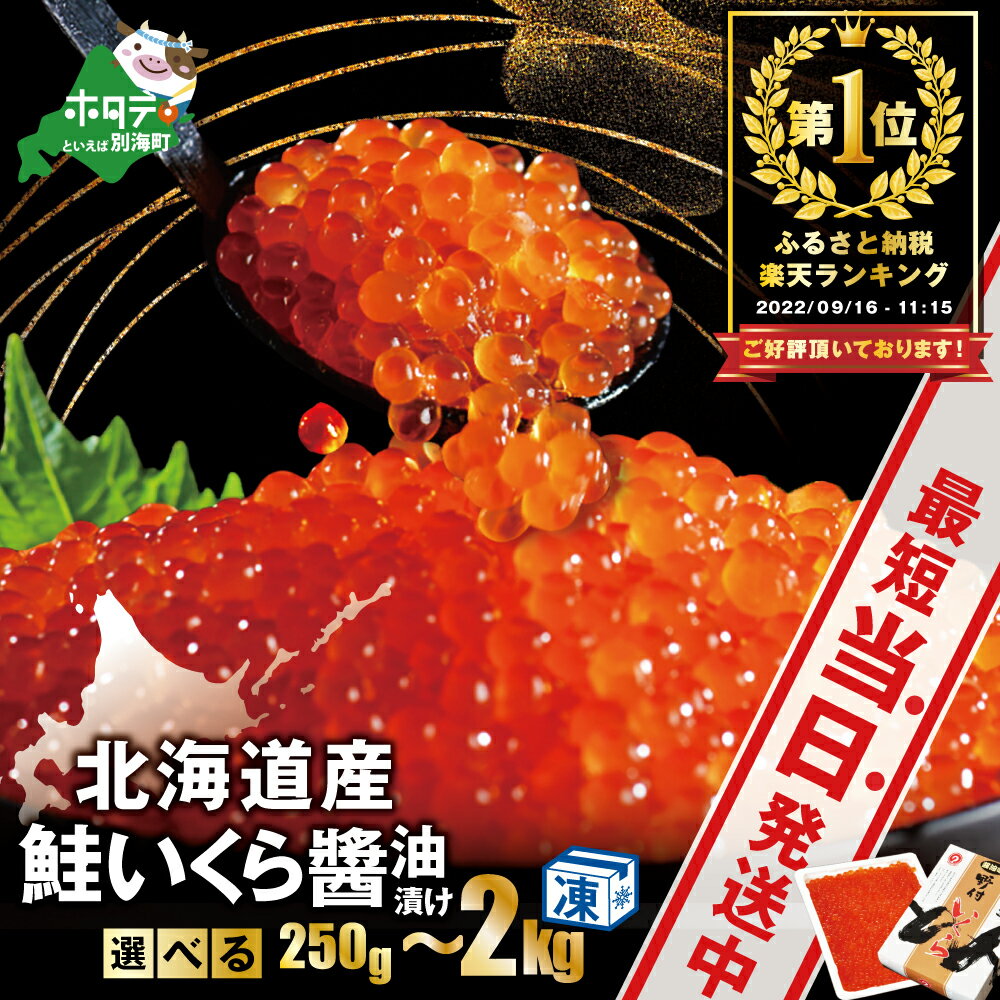 漁協 直送！本場「北海道」 いくら 醤油漬け 250g イクラ 大粒 鮭 小分け 国産 鮭卵