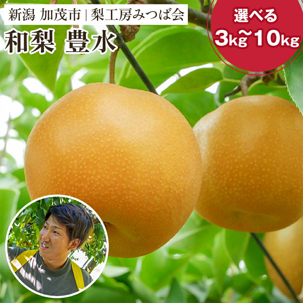 【ふるさと納税】【2026年先行予約】新潟県産 和梨 豊水 選べる量 3Kg or 5kg or 10kg 《9月上旬以降発送》ほうすい 果物 フルーツギフト 秋の味覚 加茂市 梨工房みつば会
