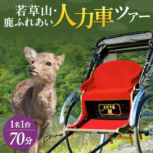 人力車ツアー 【７０分】若草山・鹿ふれあいツアー ２名１台 奈良ツアー 株式会社麻世勝エビス T-55