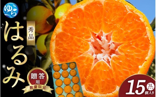 
                  はるみ 和歌山 みかん 秀品 3Lサイズ 15個入り 贈答用 / はるみ 柑橘 贈り物 フルーツ 果物 ※2027年1月中旬頃～3月上旬頃に順次発送予定【ksmt013-r-15】
                