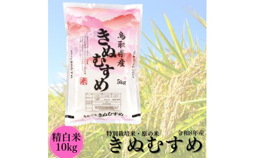 49M.特別栽培米『原の米･きぬむすめ』◇精白米10kg◇令和8年産