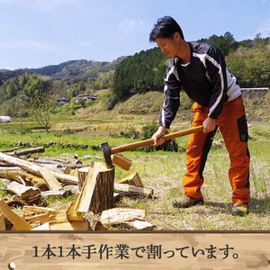 四万十の薪　未乾燥 シイ他(約18～20kg)×10箱／Bnm-09