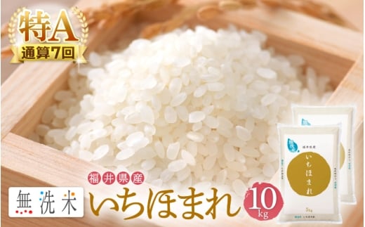 特A通算7回！お米 令和7年産 無洗米 いちほまれ 10kg 福井県産【米 コメ kome 10キロ 精米 白米 便利 時短】 [e27-c009]