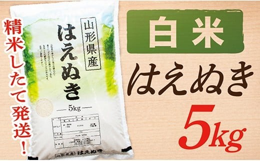 
                  【令和8年産予約】【白米】山形県産はえぬき5kg
                