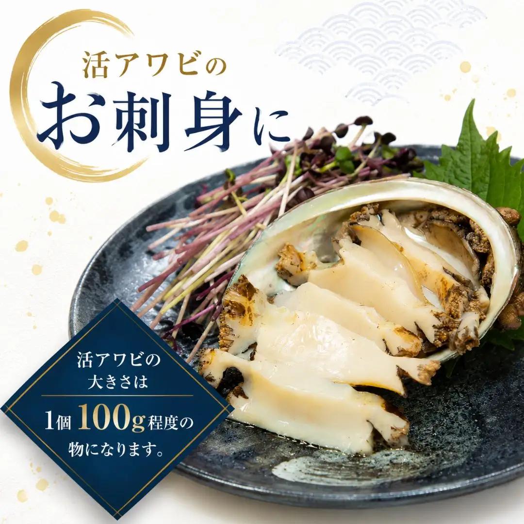 あわび 2枚 200g相当| 天然 新潟県 佐渡市 アワビ