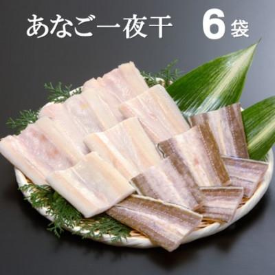 ふるさと納税 大田市 地物前浜獲りのあなご一夜干　6袋　O50