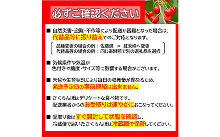 【令和8年産先行予約】 さくらんぼ 「紅秀峰」 540g (180g×3パック 秀 L以上) 《令和8年6月下旬～7月中旬発送》 『フードシステムズ』 サクランボ 果物 山形県 南陽市 [1697]
