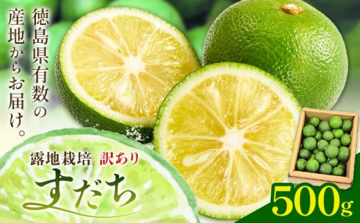 佐那河内名産 訳あり B級 露地栽培 すだち 500g 露地すだち スダチ 一般財団法人さなごうち《9月中旬-11月上旬頃出荷》徳島県 佐那河内村 送料無料 スダチ 露地 魚 豆腐 冷奴 焼き魚 天ぷら 刺身 徳島県産