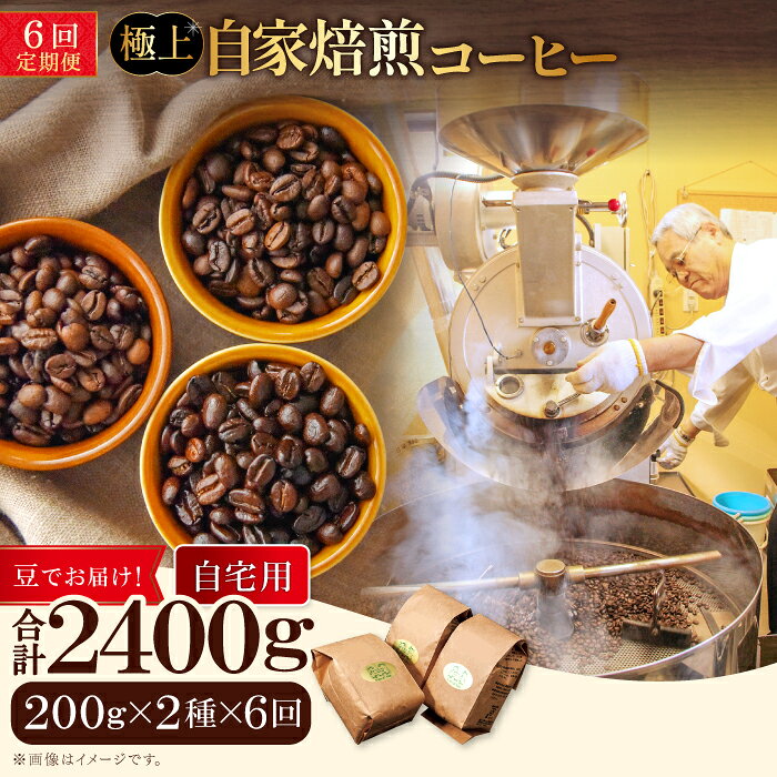 【ふるさと納税】【6回定期便】【コーヒー豆】極上自家焙煎コーヒー　400g×6回 ブルボン 大山 グァテマラ 琥珀 スイート ブラジルブレンド 定期コース 6回 半年 頒布会 コーヒー 珈琲 自家 焙煎 豆 コーヒー豆 飲料 鳥取 日吉津村 TP06