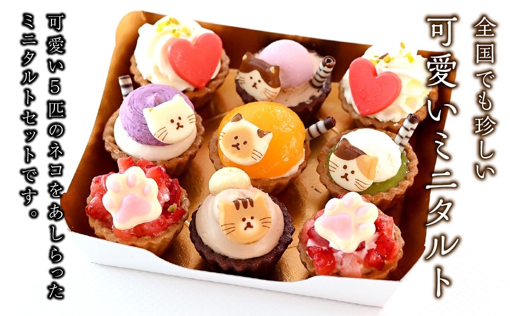 ねこみにタルト9個入り