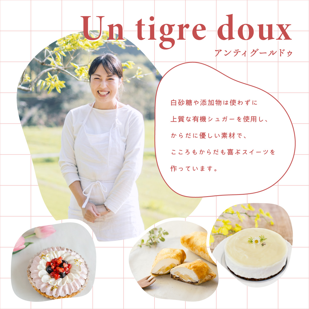 こだわりの手作り ローケーキ ショコラ ホール 冷凍 直径 12cm 4号 グルテンフリー チョコレート 無添加