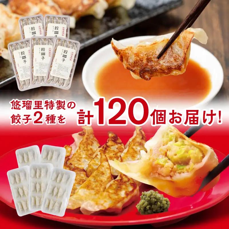 悠瑠里特製餃子60個&鶏餃子60個 食べ比べセット 餃子 ぎょうざ 惣菜