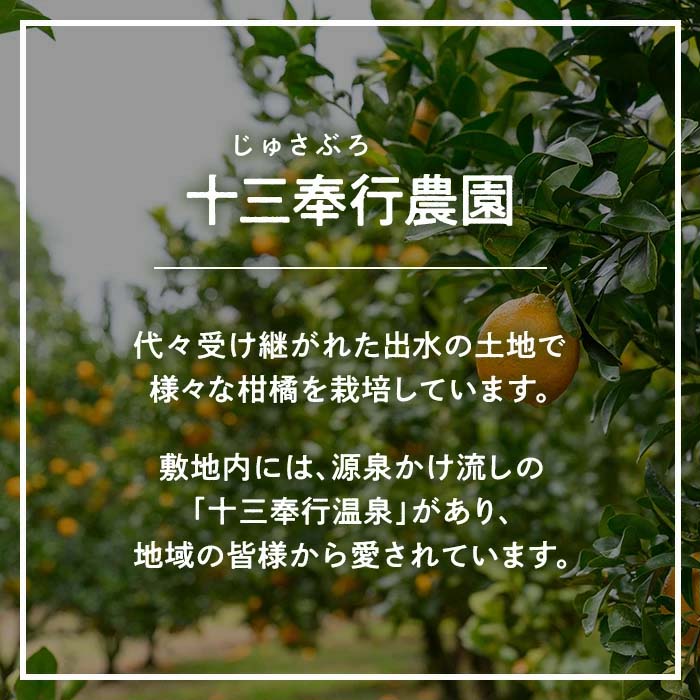 i985 《先行予約受付中！2025年10月上旬から発送予定》早生温州 (5kg) 数量限定 みかん 柑橘 果物 くだもの フルーツ 旬 温州みかん ミカン オレンジ 早生 【アーステクノ】