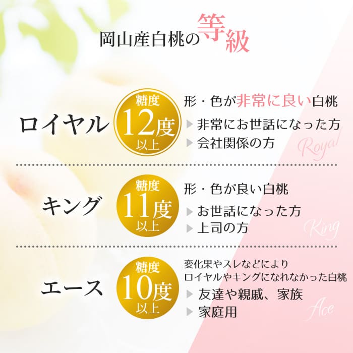 桃 2024年 先行予約 岡山 白桃 ロイヤル 3玉入り 合計約900g もも モモ 岡山県産 国産 フルーツ 果物 ギフト 橋田商店