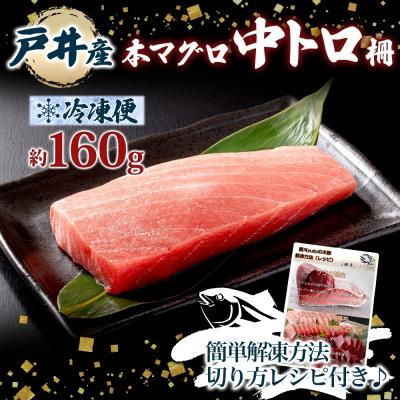 ふるさと納税 函館市 戸井産 本マグロ 中トロ 約160g_HD144-002 |  | 02