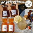 【ふるさと納税】ヨモジンジャーシロップ 225ml×2本 A-TeaM《60日以内に出荷予定(土日祝除く)》熊本県 葦北郡 津奈木町 シロップ　よもぎ 蓬 万能薬草