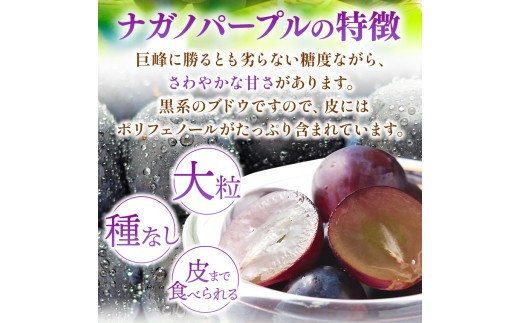 一口で広がる贅沢な甘さ、ナガノパープル。