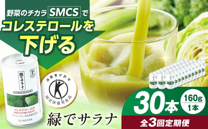 
            【定期便3回】サンスター 緑でサラナ 30本セット 160g 野菜ジュース 青汁 サラナ 缶 ケース まとめ買い 健康 特定保健用食品 トクホ コレステロール 保存料不使用 無添加 国産 長期保存 常温 防災 ギフト 定期便 大阪府高槻市/サンスター[AOAD005]
          