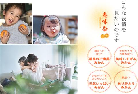 『先行予約』【令和9年3月上旬発送】味香デコ 3kg 新品種 果皮も美味しく食べられる！フルーツ 果物 デザート 柑橘