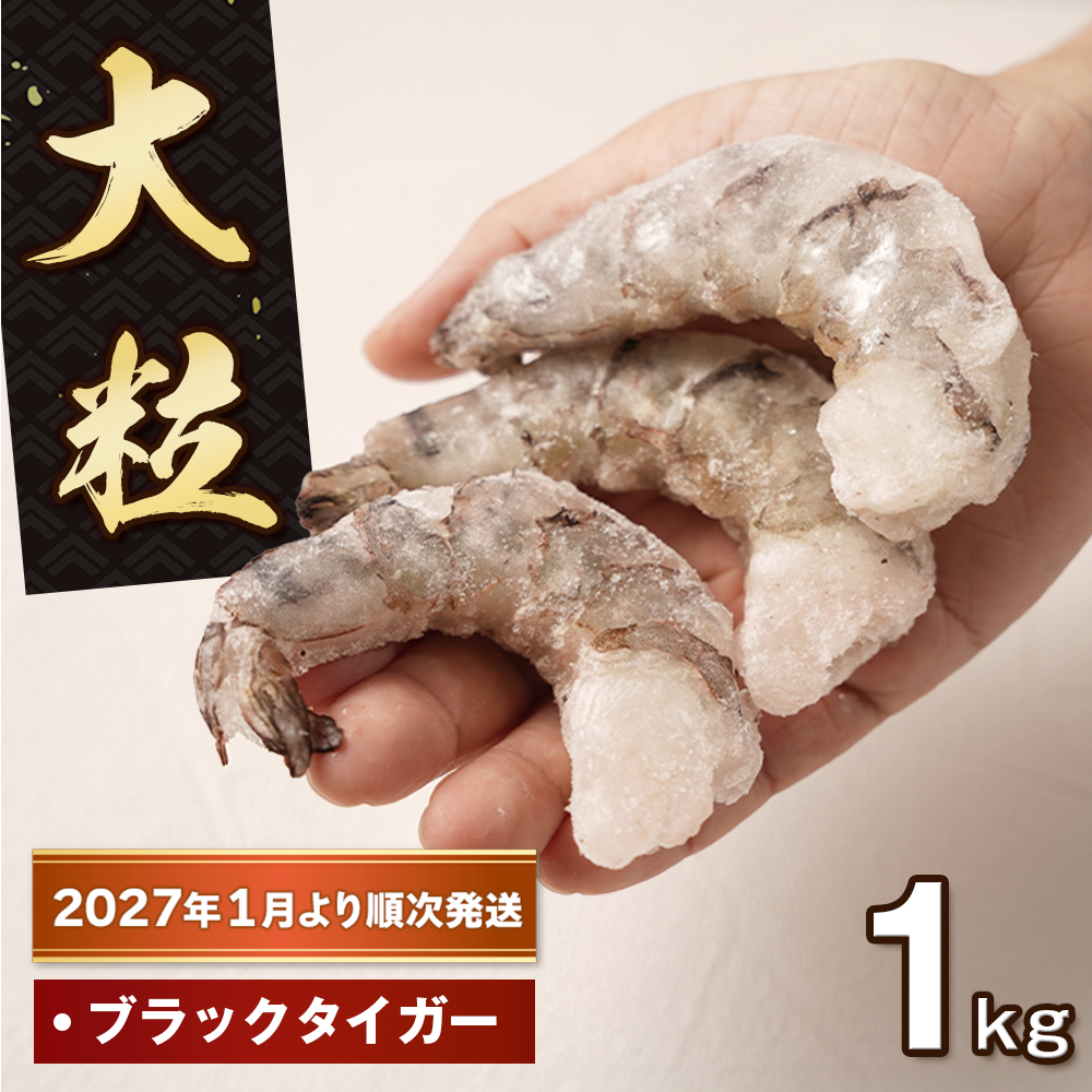 至福の大粒むきえび　背ワタ処理済 1kg【2027年1月より順次