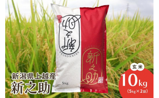 
                  令和7年・新潟県上越産|新潟ブランド米「新之助」 玄米10kg(5kg×2袋)
                