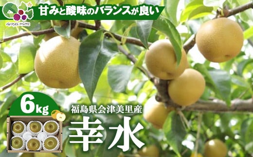 
            【先行受付】会津の美味しい梨 幸水 約6kg（10玉～12玉）◇｜ 期間限定 梨 なし ナシ 果物 フルーツ 甘い ジューシー 果実 くだもの 国産 果実 会津美里町産 ※2025年8月下旬～9月上旬頃に順次発送予定
          