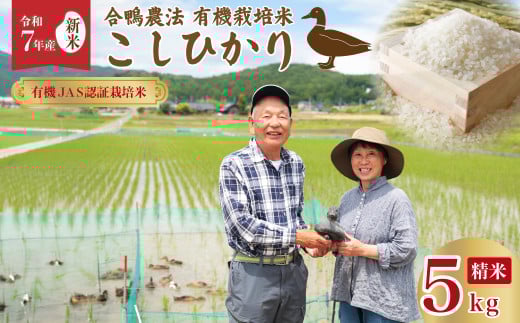 【令和7年産 新米 】オーガニック あいがも 有機米 農薬  化学肥料不使用 こしひかり 白米5キロ 合鴨常陸青龍米 ｜ 茨城県 常陸太田市 有機JAS認証 有機栽培米 有機栽培 白米 森 ミネラル 水 安全 安心 美味しい 米合鴨農法 自然環境 負荷かけない リサイクル 農業 コシヒカリ 人気 敬老の日 9月発送可