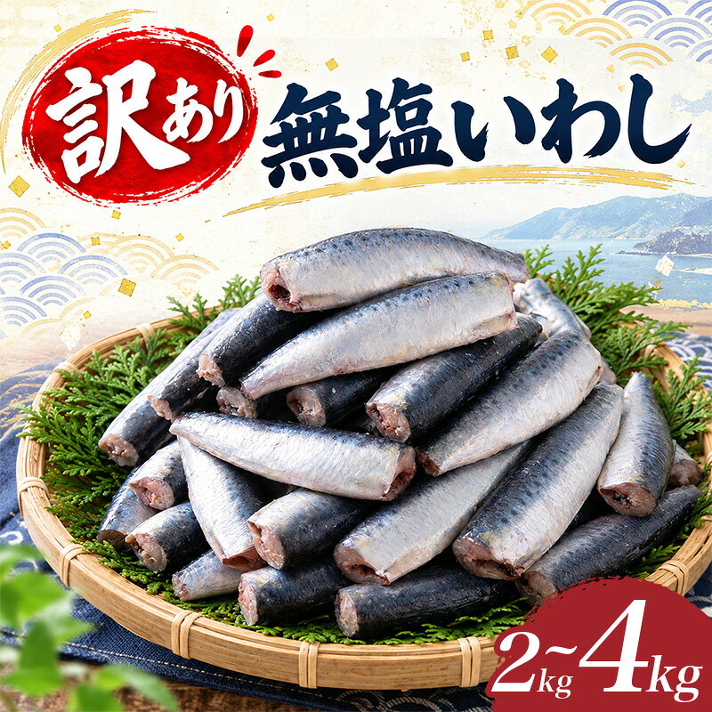 【ふるさと納税】 いわし 無塩 訳あり 約2～4kg 国産 冷凍 イワシ 鰯 内蔵処理 頭なし 料理 簡単調理 手軽 和風 和食 ハンバーグ 煮物 煮付け 蒲焼き おかず 惣菜 弁当 魚 海鮮 魚介 南伊勢町産 三重県 伊勢 志摩