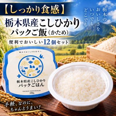 ふるさと納税 真岡市 【しっかり食感】栃木県産こしひかり パックご飯(かため)便利でおいしい12個セット