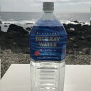 海のミネラル飲んでみいやぁ～セット ブルーレイウォーター 2L×10本 室戸海洋深層水100％使用 軟水 水 お水 みず ミネラルウォーター ペットボトル ドリンク 送料無料