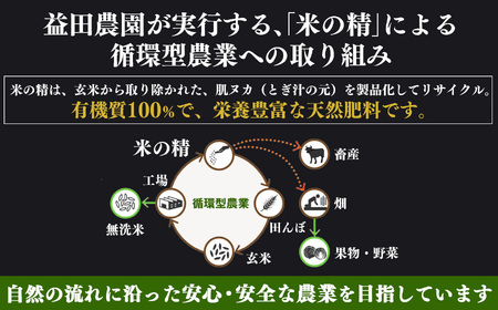 【なら育ち 益田農園】たねなし柿　訳アリ　約3.5kg(14玉～18玉）